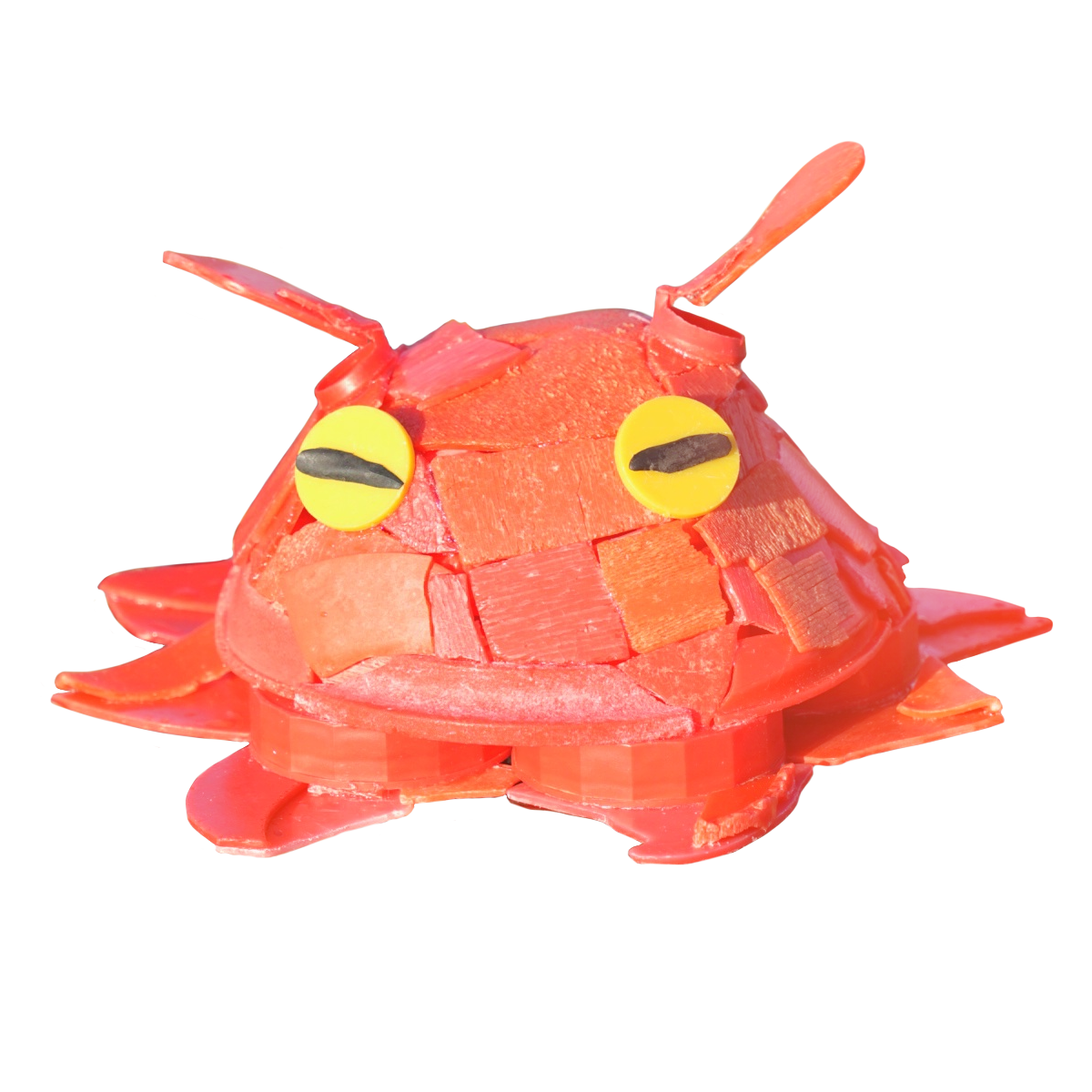 kimiの海ゴミ水族館