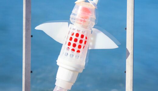 クリオネ制作と海洋酸性化の話👼