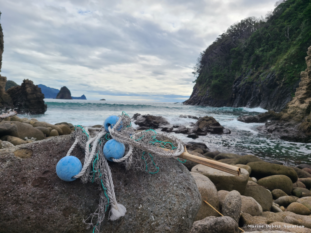 2026年9月30日 静岡県 浮島海岸