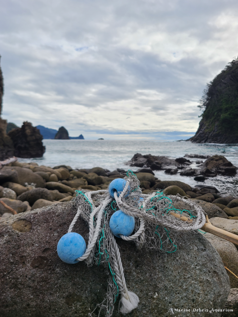 2026年9月30日 静岡県 浮島海岸